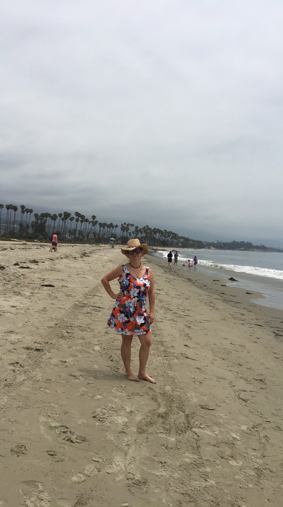 silikon vadisinde hayat